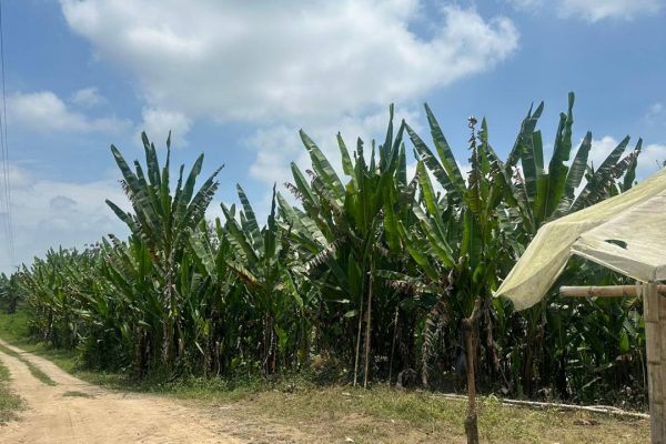 WhatsApp-Image-2025-09-12-at-10.38.36-PM-3