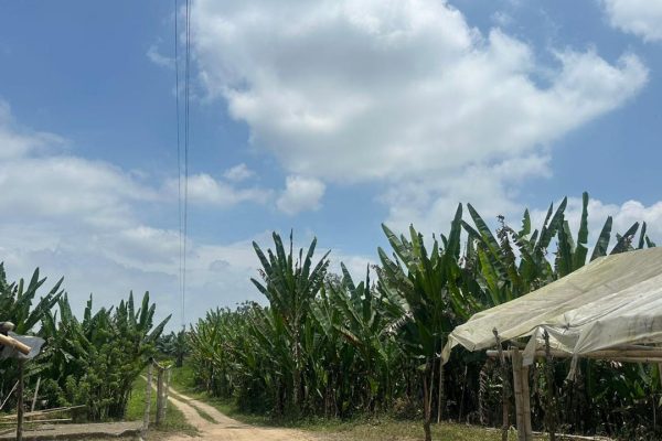 WhatsApp-Image-2025-09-12-at-10.38.36-PM-4