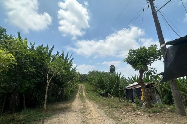 WhatsApp-Image-2025-09-12-at-10.38.36-PM-5