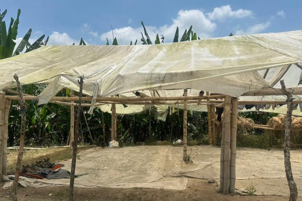 WhatsApp-Image-2025-09-12-at-10.38.36-PM