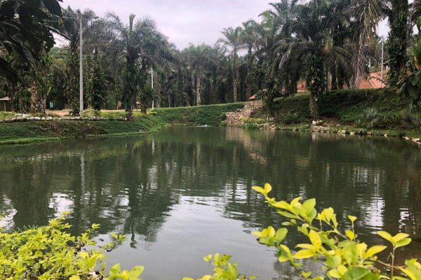 WhatsApp-Image-2025-10-14-at-07.52.24-1