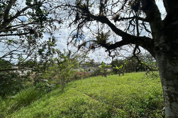 WhatsApp-Image-2025-11-01-at-4.02.03-PM