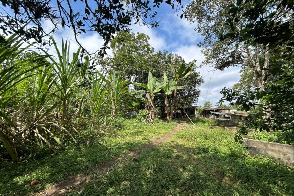 WhatsApp-Image-2025-11-01-at-4.02.04-PM-1