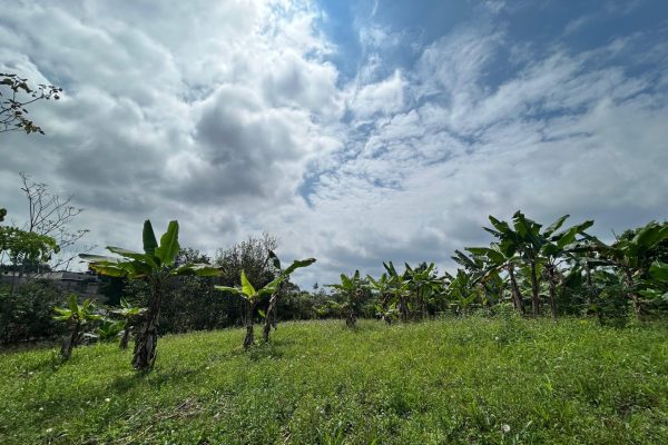 WhatsApp-Image-2025-11-01-at-4.02.04-PM