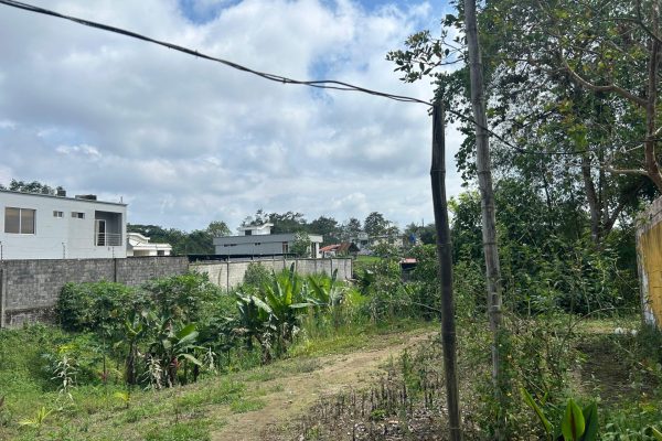 WhatsApp-Image-2025-11-01-at-4.02.06-PM