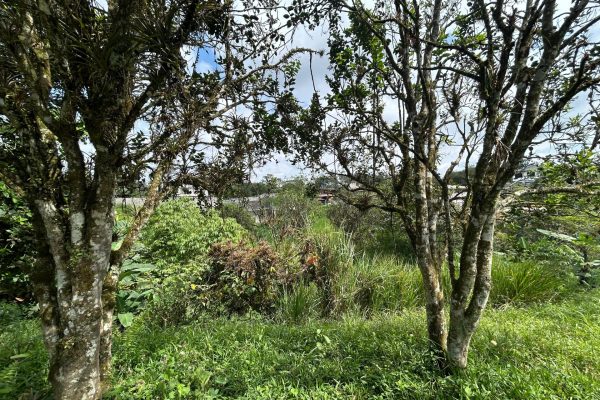 WhatsApp-Image-2025-11-01-at-4.02.08-PM