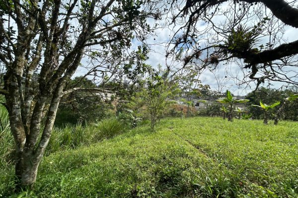 WhatsApp-Image-2025-11-01-at-4.02.10-PM