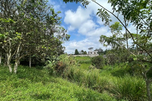 WhatsApp-Image-2025-11-01-at-4.02.11-PM-1