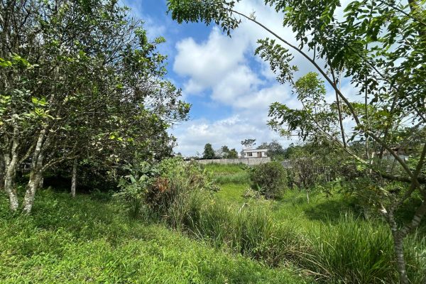 WhatsApp-Image-2025-11-01-at-4.02.11-PM-2