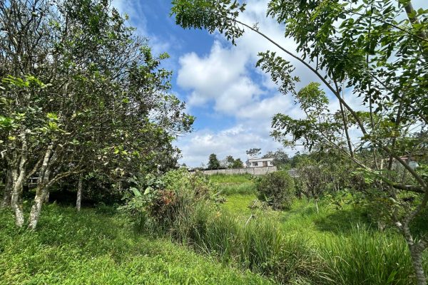 WhatsApp-Image-2025-11-01-at-4.02.11-PM-4