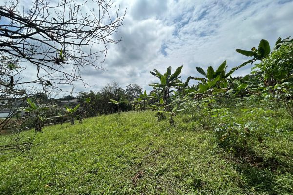 WhatsApp-Image-2025-11-01-at-4.02.11-PM