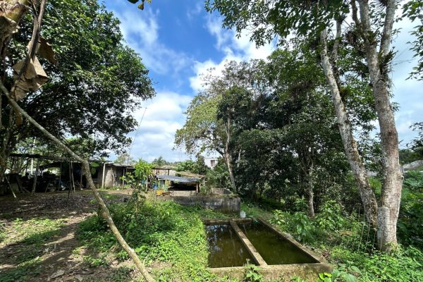 WhatsApp-Image-2025-11-01-at-4.02.12-PM-3