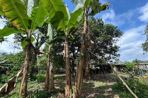 WhatsApp-Image-2025-11-01-at-4.02.12-PM-4