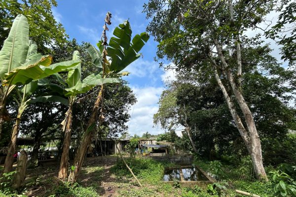 WhatsApp-Image-2025-11-01-at-4.02.12-PM