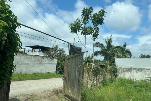 WhatsApp-Image-2025-11-01-at-4.02.13-PM-4