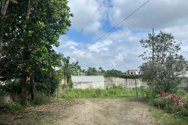 WhatsApp-Image-2025-11-01-at-4.02.13-PM