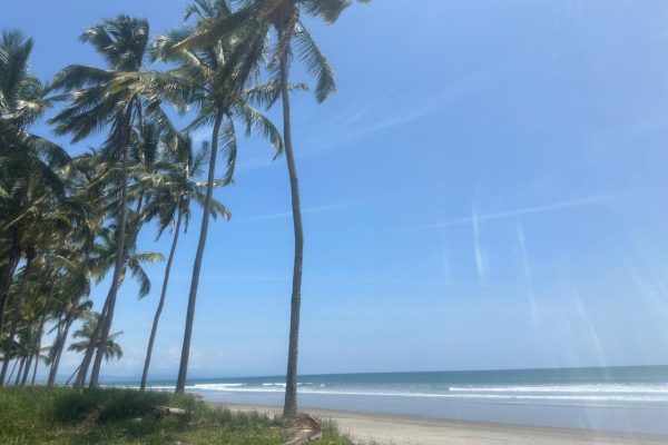 WhatsApp-Image-2025-11-06-at-7.11.34-PM-1