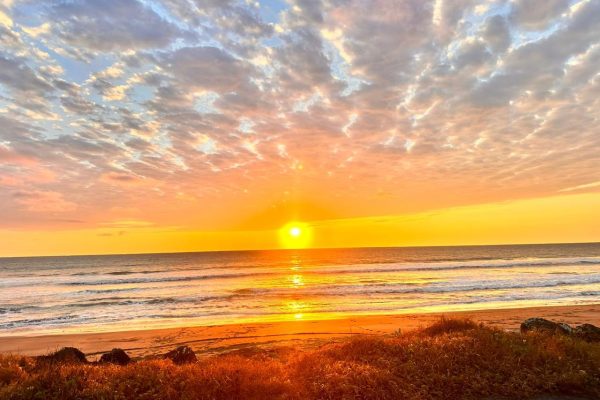 WhatsApp-Image-2025-11-06-at-7.11.34-PM-2