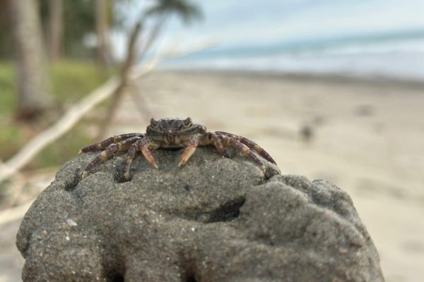 WhatsApp-Image-2025-11-06-at-7.11.34-PM