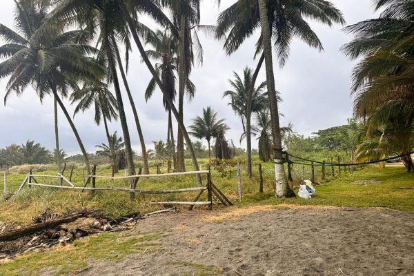 WhatsApp-Image-2025-11-06-at-7.11.35-PM-1