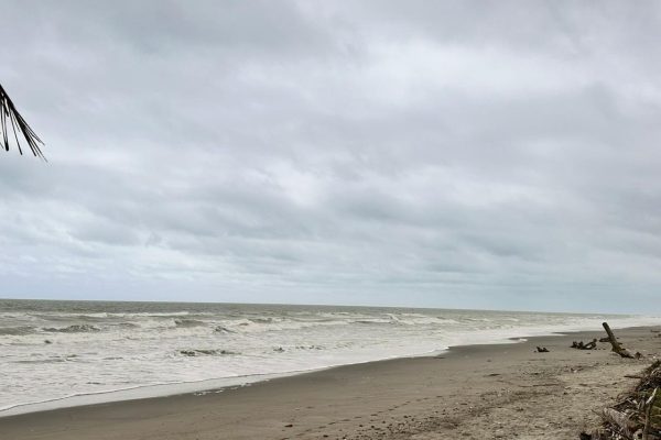 WhatsApp-Image-2025-11-06-at-7.11.35-PM