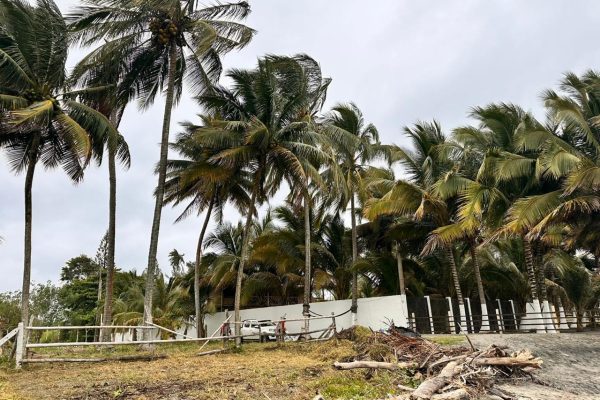 WhatsApp-Image-2025-11-06-at-7.12.18-PM-1