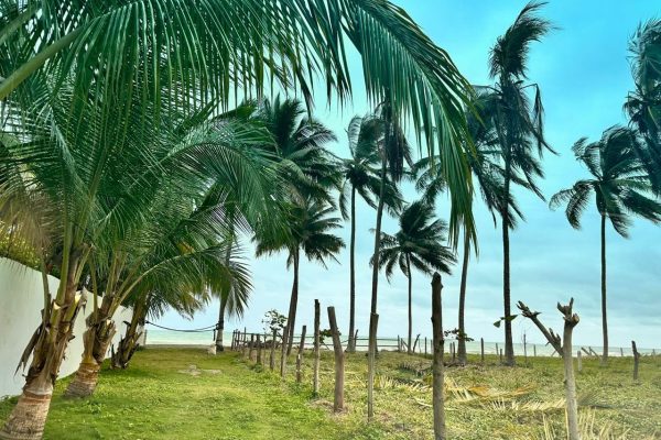 WhatsApp-Image-2025-11-06-at-7.12.18-PM