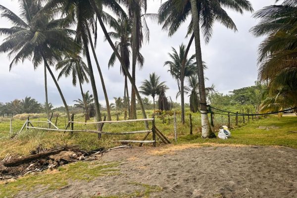 WhatsApp-Image-2025-11-06-at-7.12.19-PM-3