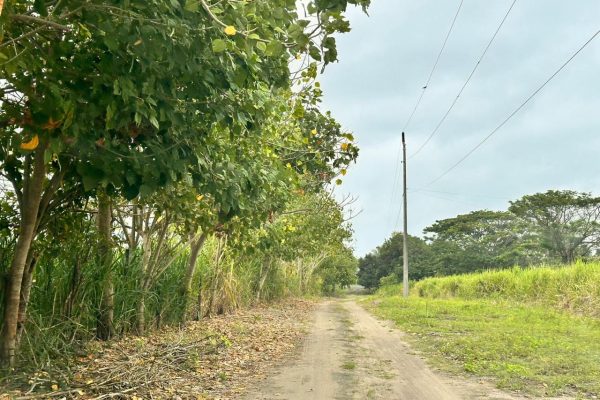 WhatsApp-Image-2025-11-06-at-7.12.19-PM