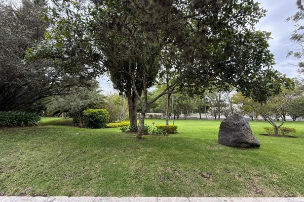 WhatsApp-Image-2025-12-01-at-10.48.23-11