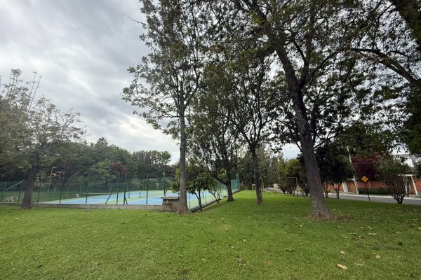 WhatsApp-Image-2025-12-01-at-10.48.24-11