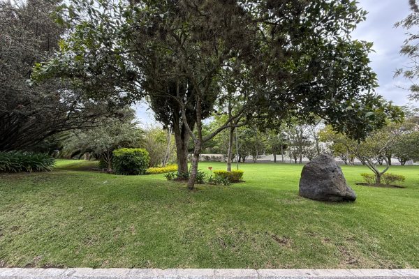 WhatsApp-Image-2025-12-01-at-10.48.24-12