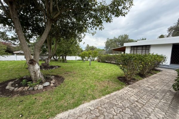 WhatsApp-Image-2025-12-01-at-10.48.25-4