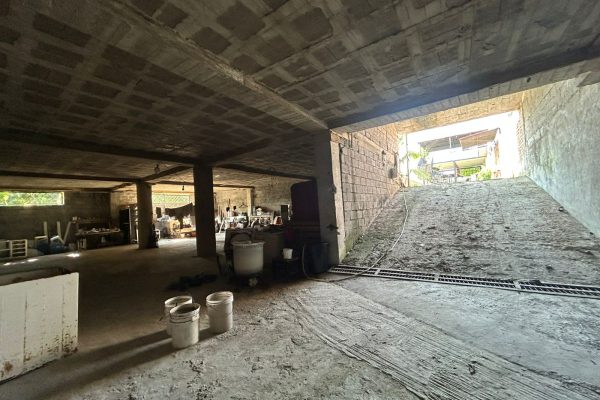 WhatsApp-Image-2025-12-18-at-12.24.34-AM