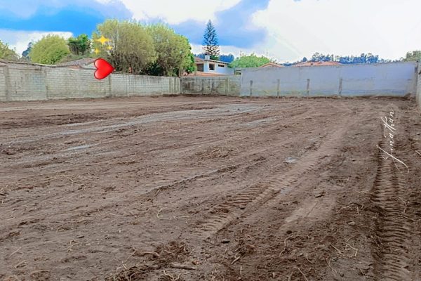 WhatsApp-Image-2026-01-13-at-06.49.51