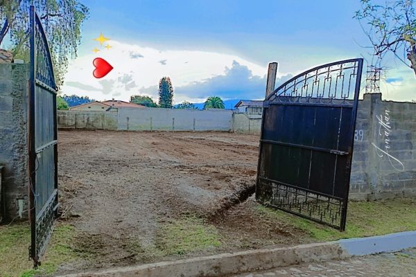 WhatsApp-Image-2026-01-13-at-06.49.52-1