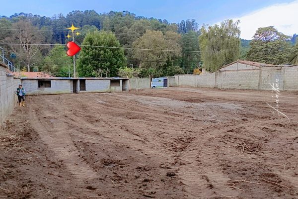 WhatsApp-Image-2026-01-13-at-06.49.52