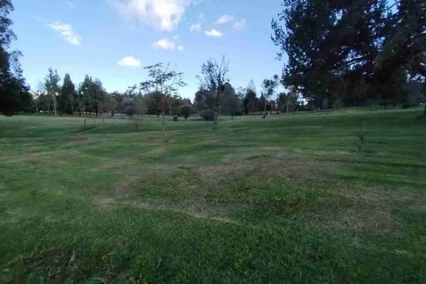 WhatsApp-Image-2026-01-15-at-10.49.22