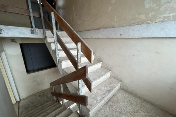 WhatsApp-Image-2026-01-28-at-8.55.16-AM-5