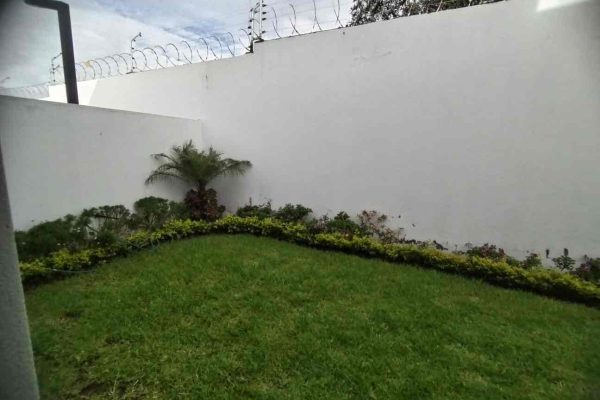 WhatsApp-Image-2026-02-11-at-12.12.27