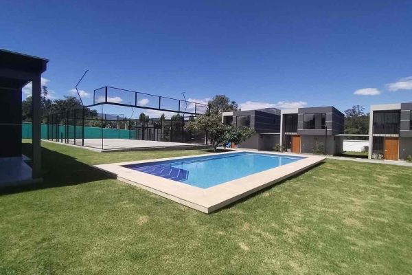 WhatsApp-Image-2026-02-11-at-12.12.43