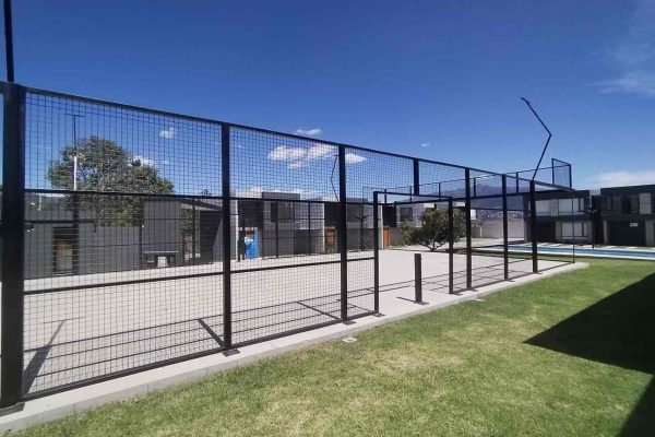 WhatsApp-Image-2026-02-11-at-12.12.59