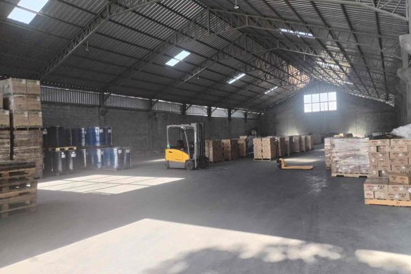 WhatsApp-Image-2026-02-11-at-12.26.31