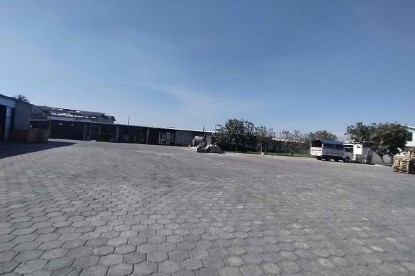 WhatsApp-Image-2026-02-11-at-12.26.56