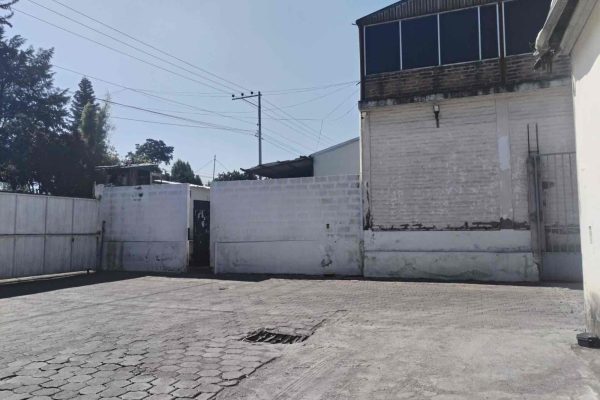 WhatsApp-Image-2026-02-11-at-12.27.11