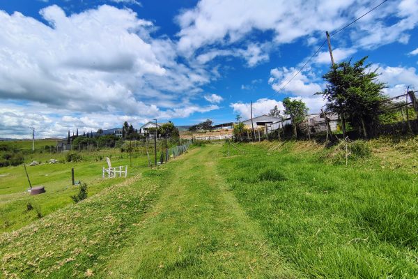 WhatsApp-Image-2026-02-11-at-12.31.52-PM-1