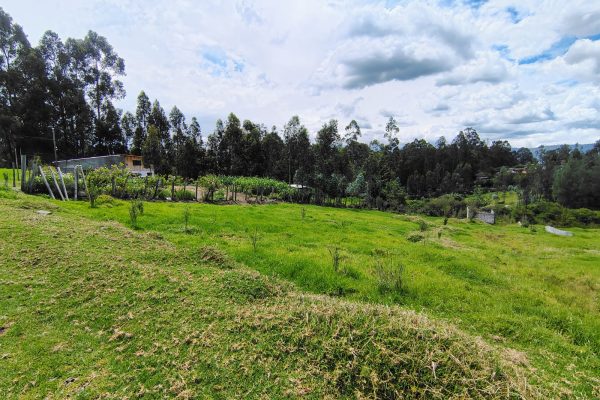 WhatsApp-Image-2026-02-11-at-12.31.52-PM-3