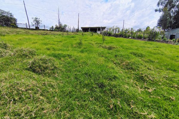 WhatsApp-Image-2026-02-11-at-12.31.52-PM-4