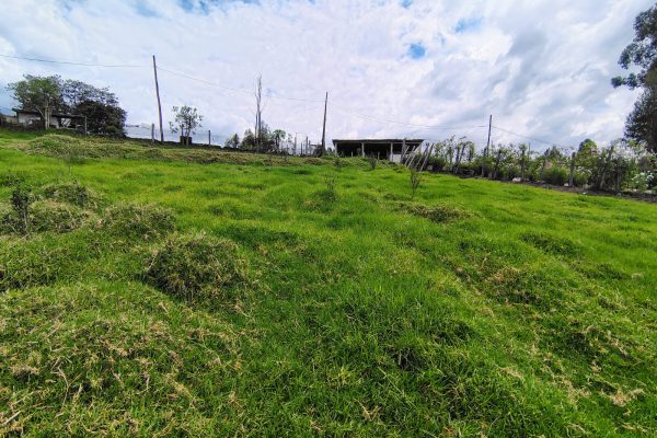 WhatsApp-Image-2026-02-11-at-12.31.52-PM-6