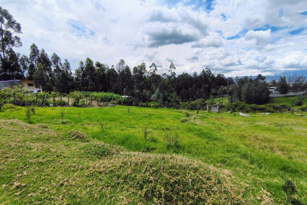 WhatsApp-Image-2026-02-11-at-12.31.52-PM